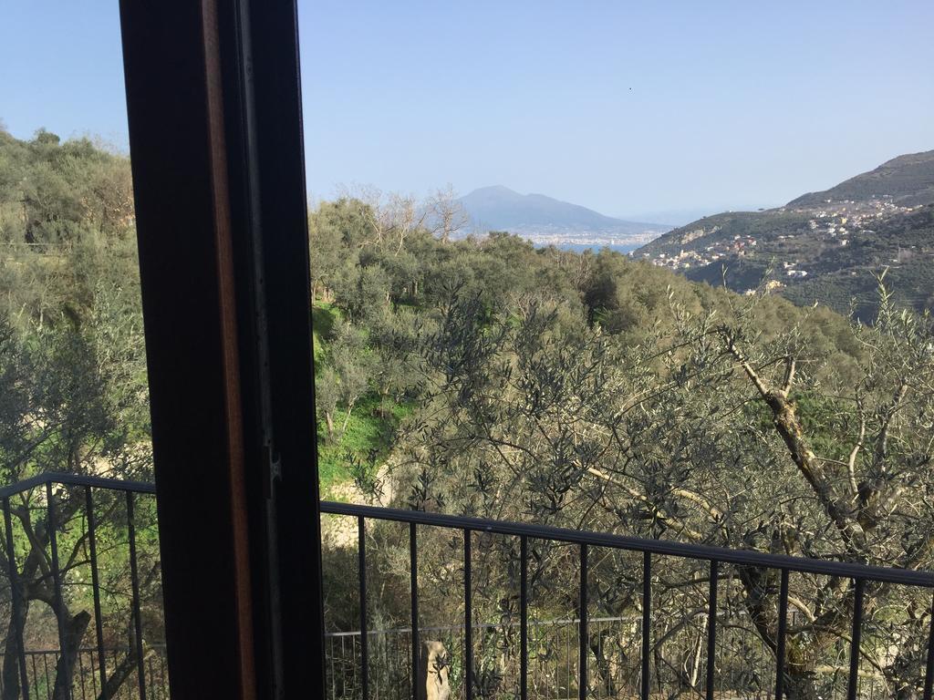 فيلا Il Casale Del Mirto فيكو إيكوينس المظهر الخارجي الصورة