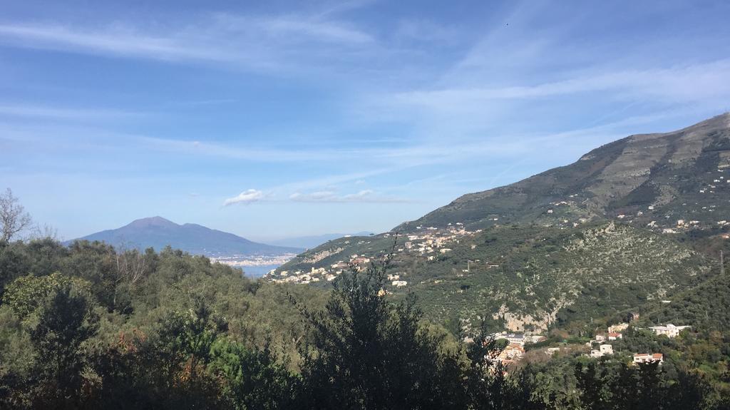 فيلا Il Casale Del Mirto فيكو إيكوينس المظهر الخارجي الصورة