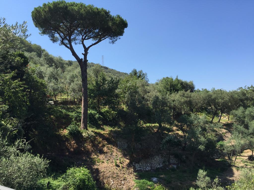 فيلا Il Casale Del Mirto فيكو إيكوينس المظهر الخارجي الصورة